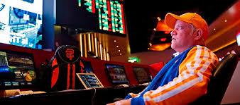 Зеркало Casino Wilder